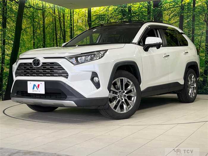 2019 Toyota RAV4