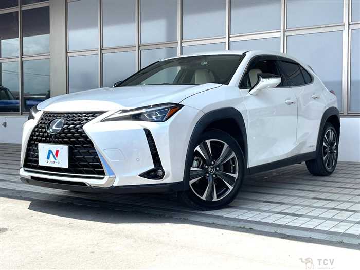 2020 Lexus Other