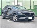 2019 Mazda CX-3