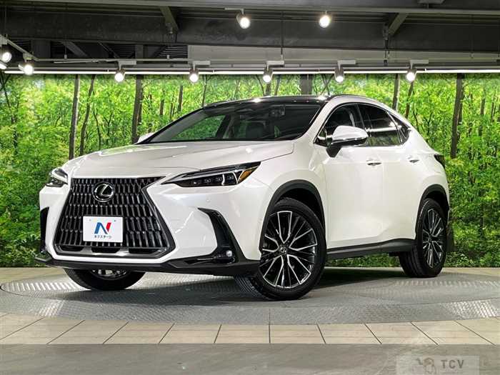 2023 Lexus NX