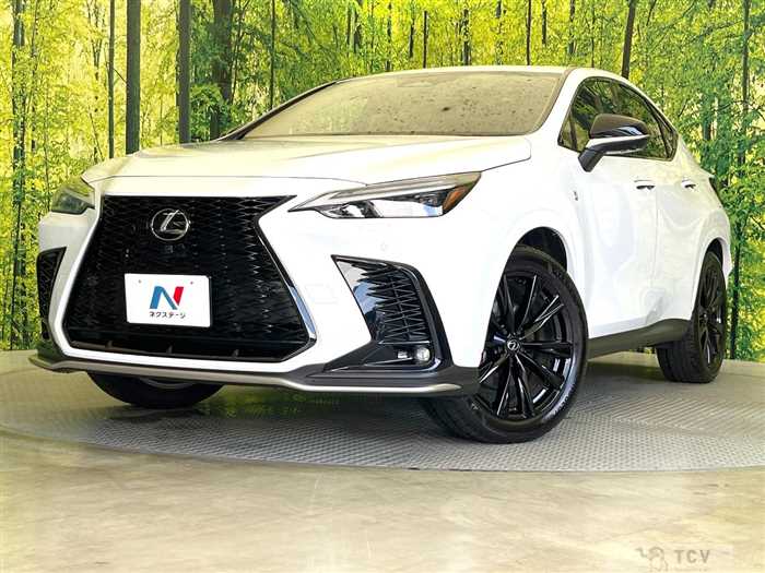 2024 Lexus NX
