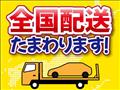 2011 Subaru Sambar