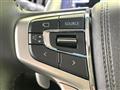 2024 Mitsubishi Delica D5
