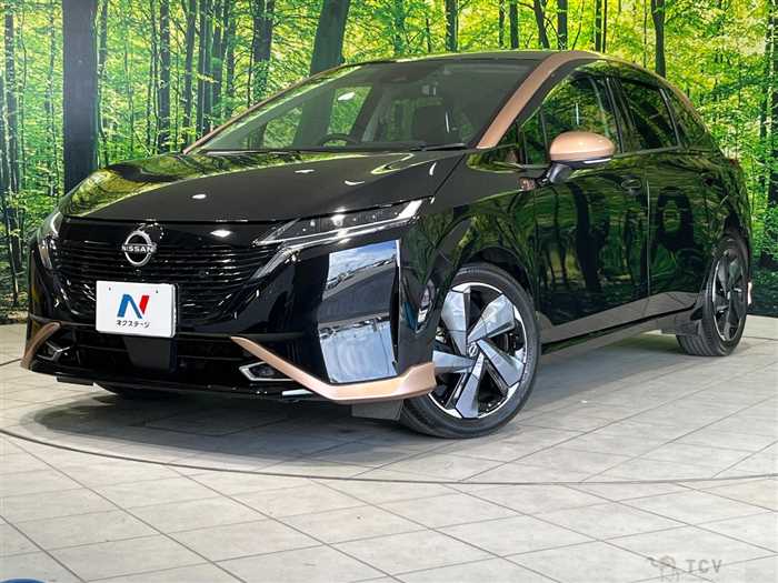 2021 Nissan Nissan Others