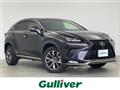 2017 Lexus NX