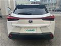 2020 Lexus UX