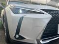 2020 Lexus UX