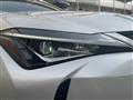 2020 Lexus UX