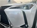2020 Lexus UX