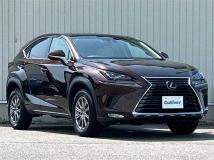 2018 Lexus NX