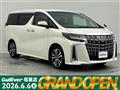 2019 Toyota Alphard
