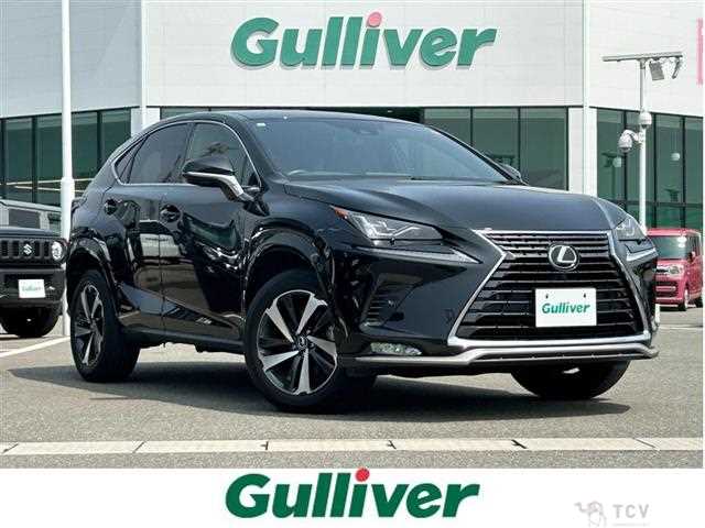 2021 Lexus NX