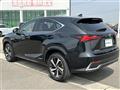 2021 Lexus NX