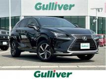2021 Lexus NX