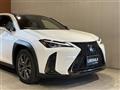 2019 Lexus UX