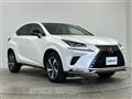 2021 Lexus NX