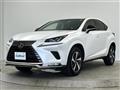 2021 Lexus NX