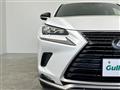 2021 Lexus NX