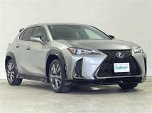 2020 Lexus UX