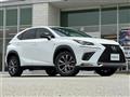 2019 Lexus NX