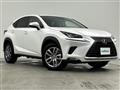 2019 Lexus NX