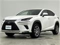 2019 Lexus NX