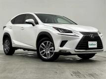 2019 Lexus NX