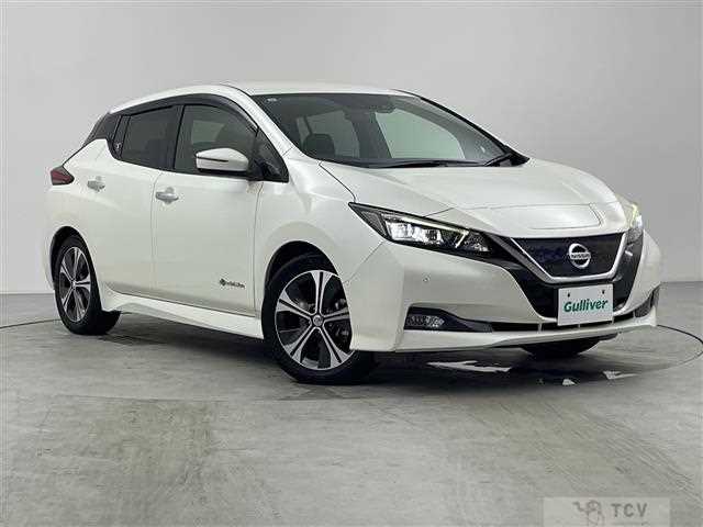 2017 Nissan Leaf