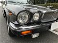 1984 Jaguar XJ Series