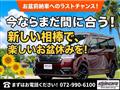 2023 Toyota Probox Van