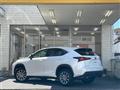 2021 Lexus NX