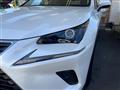 2021 Lexus NX