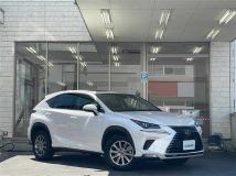 2021 Lexus NX