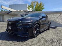 2024 Lexus RX