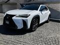 2024 Lexus Other