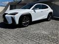 2024 Lexus Other