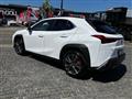 2024 Lexus Other