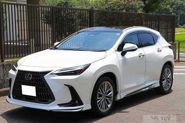 2025 Lexus NX