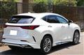 2025 Lexus NX