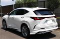 2025 Lexus NX