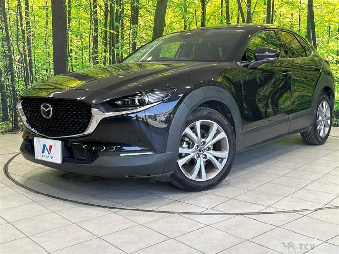 2019 Mazda Mazda Others