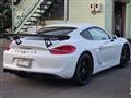 2013 Porsche Cayman