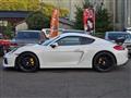 2013 Porsche Cayman