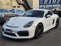 2013 Porsche Cayman