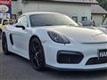 2013 Porsche Cayman