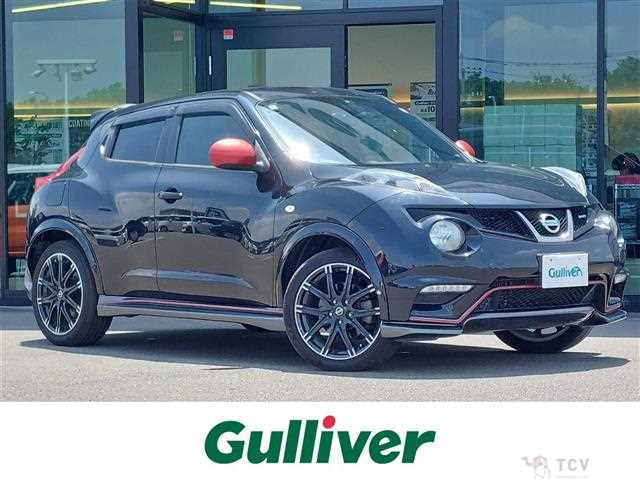 2014 Nissan Juke