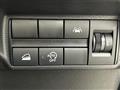 2021 Mitsubishi Mitsubishi Others