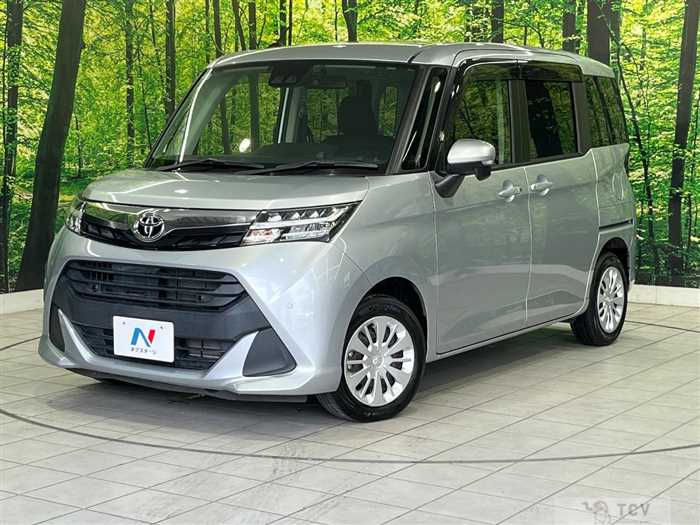 2019 Toyota Tank