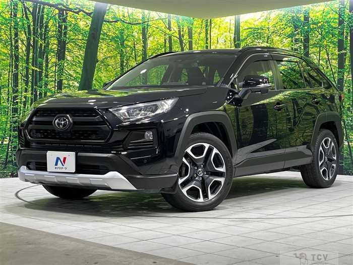 2019 Toyota RAV4