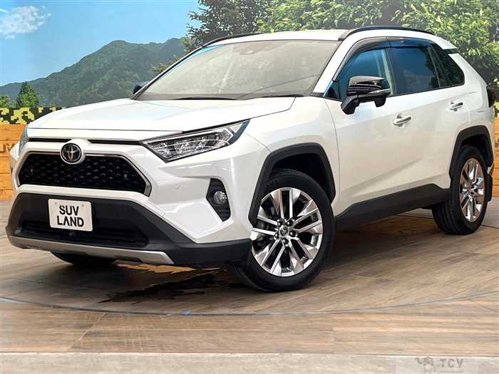 2019 Toyota RAV4